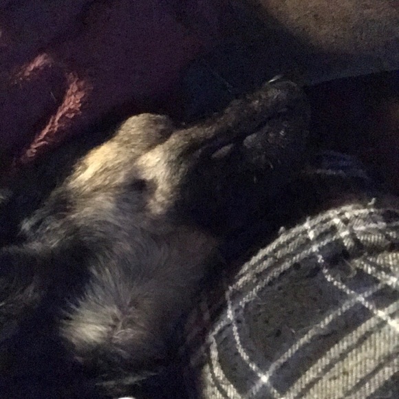 Meet your Posher, Chuck - Picture 1 of 1